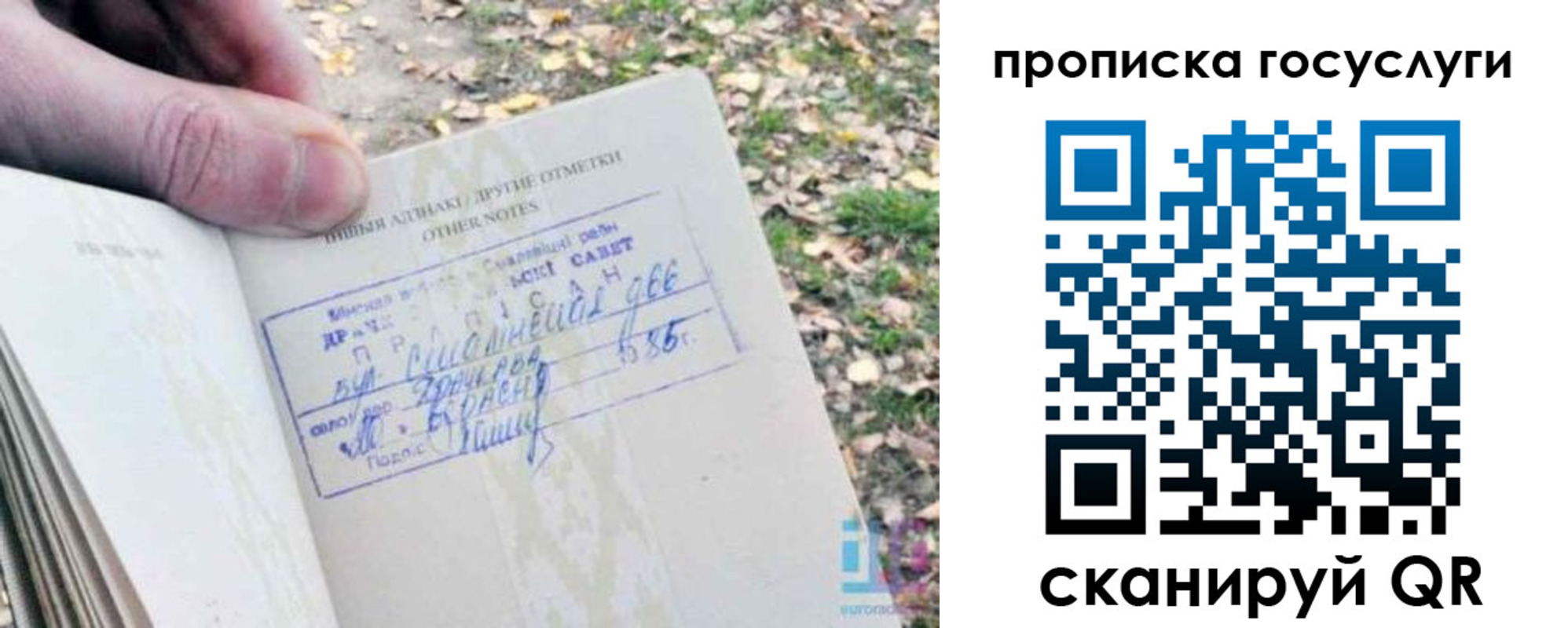 временная регистрация собственник в Кохме